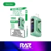RAZ Miami Mint disposable vape, RAZ TN9000 9K Disposable Vape, wholesale