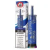 Starbuzz Berry Ice disposable vape, Starbuzz E-Hose 50K Disposable Vape, wholesale